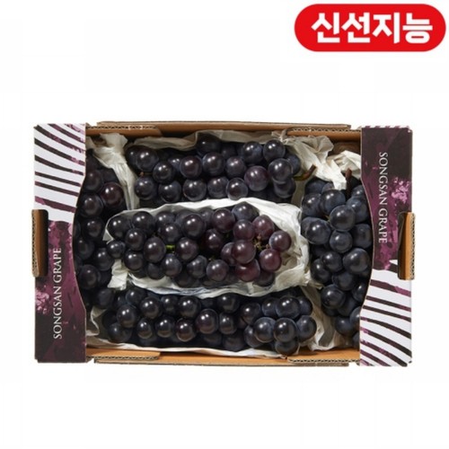 [농할할인가 14,960원] 송산포도 (1.5Kg/박스)