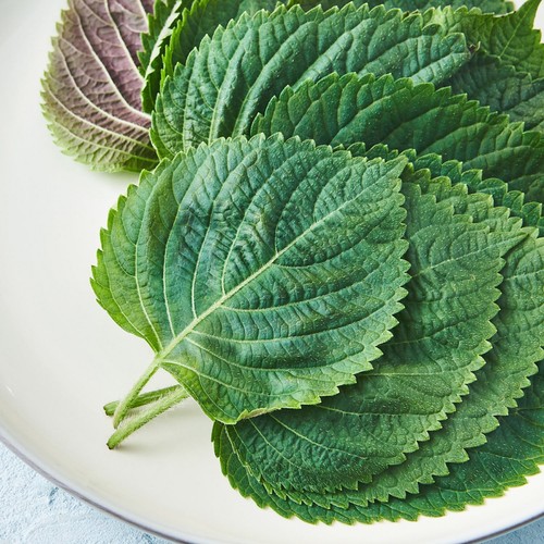 깻잎나물 (100G/팩)
