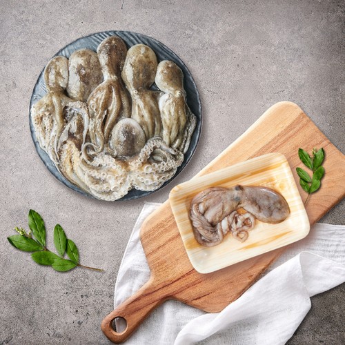 낙지 (생물) (300G)