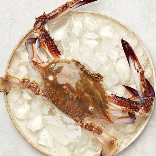 [행사카드 결제시 29,723원] 꿀잠 꽃게 (3000G)