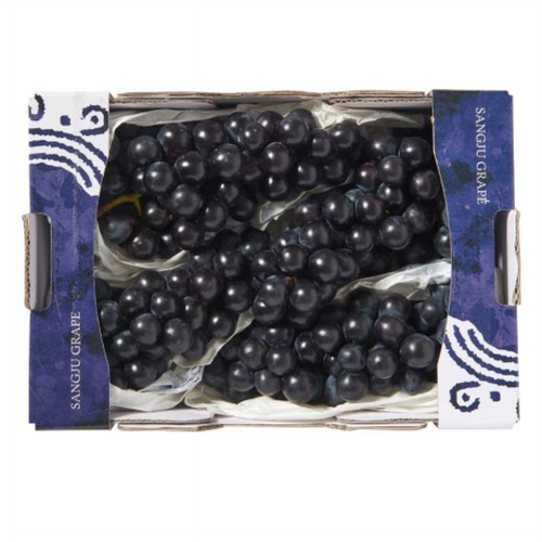 [농할할인가 9,520원] 상주 캠벨포도 (1.5Kg/박스)