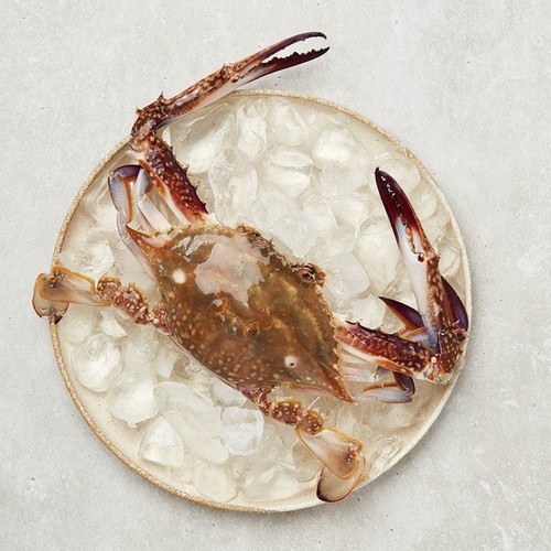 꽃게 (1,000G)