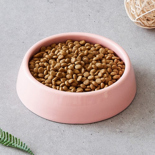 콜리올리 웰밸런스 사료 (중형견) (5KG)