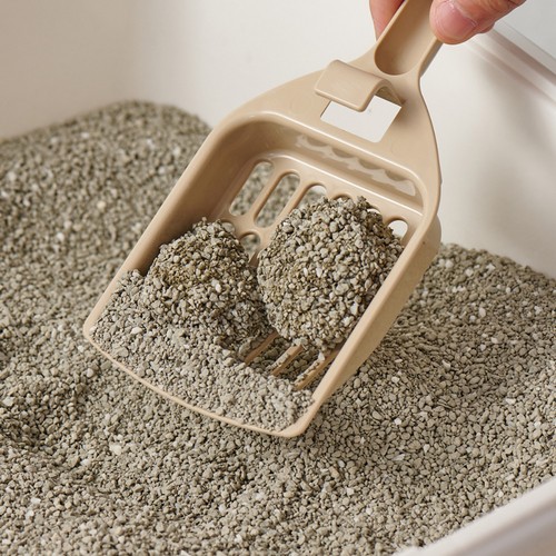 콜리올리 벤토나이트 모래 (라벤더향) (7KG(9L))