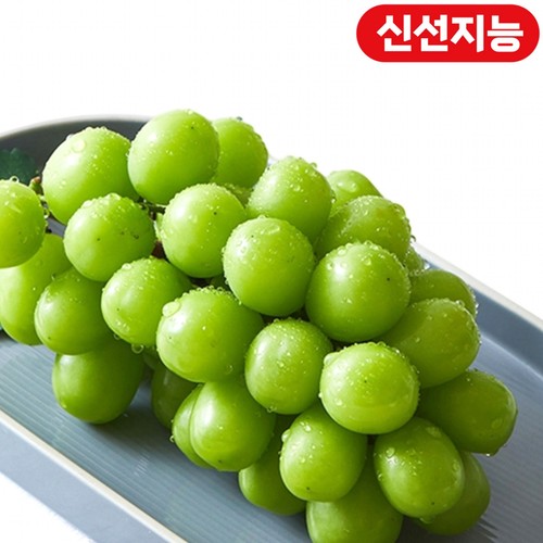 [농할할인가 9,520원] 비파괴 당도선별 하우스 샤인머스캣 (1송이 (600G 이상))