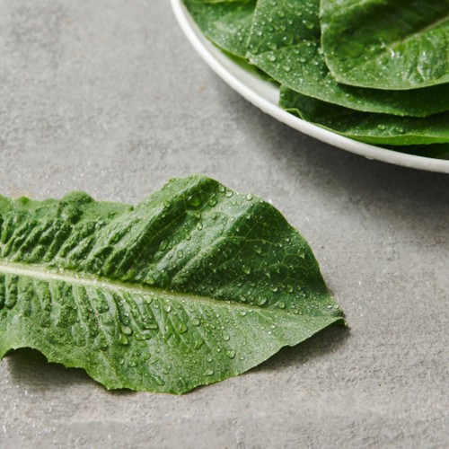 로메인 (80G/봉)