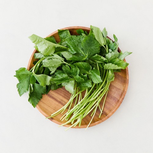 참나물 (150G/팩)