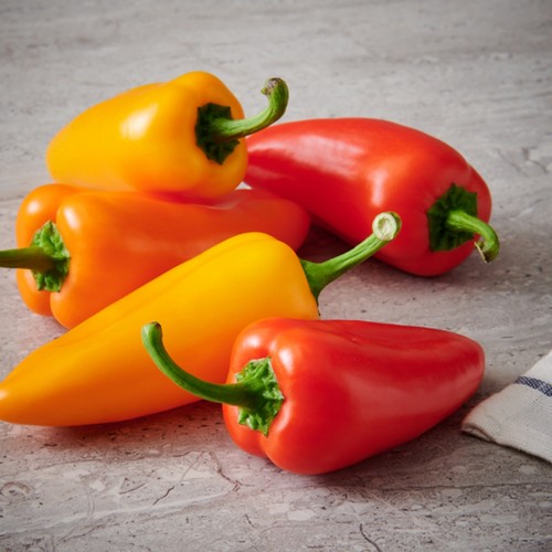 과일 파프리카 (300G/팩)