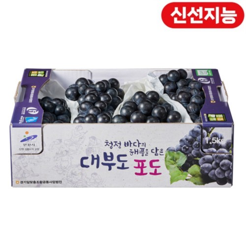 [농할할인가 15,920원] 대부도 포도 (1.5KG/박스)