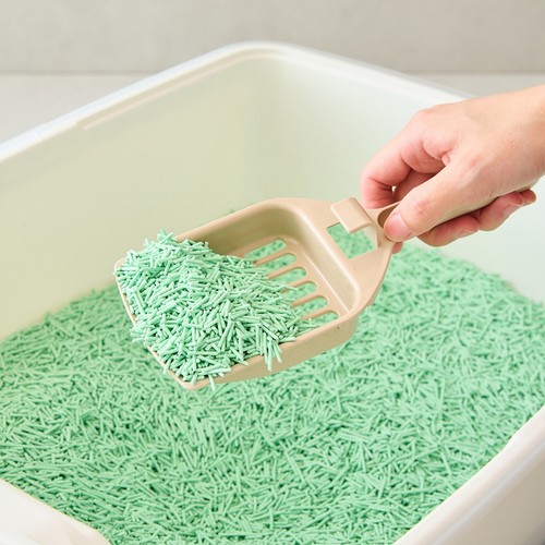 콜리올리 가는 두부모래 (녹차) (3KG(7L))