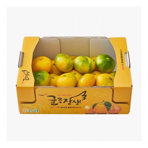 [농할할인가 11,960원] 제주 하우스 감귤 (1.5KG/박스)