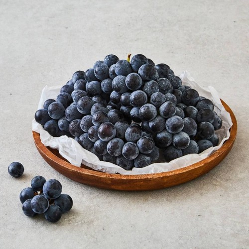 [농할할인가 9,520원] 추풍령 포도 (1.5KG/박스)