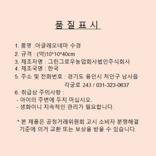 아글레오네마 수경