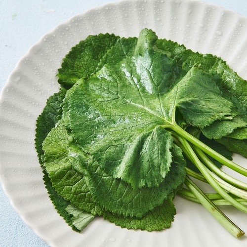 곰취나물 (팩)