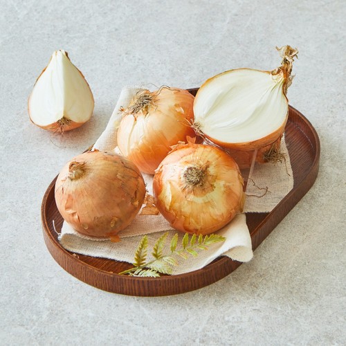  [농할할인가 3,992원]  햇 양파 (2KG/망)