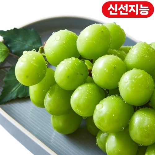  [농할할인가 7,920원]  비파괴 당도선별 하우스 샤인머스캣 (1송이/팩(450G 이상))