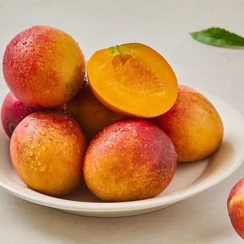 제주 미니 애플망고 (500G/팩)