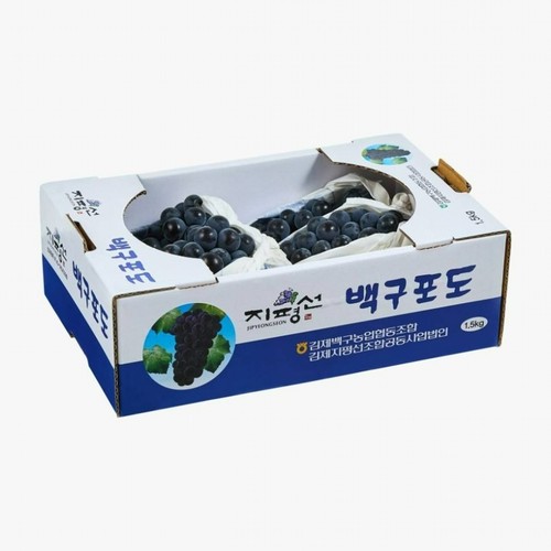 [농할할인가 13,200원] 김제 백구포도 (1.5KG/박스)