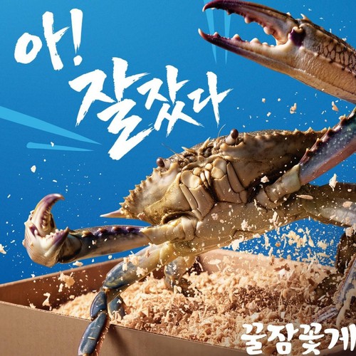 [행사카드 결제시 29,723원] 꿀잠 꽃게 (3000G)