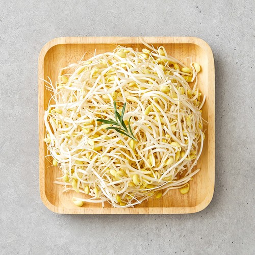 오늘좋은 국산콩 콩나물 (500G)