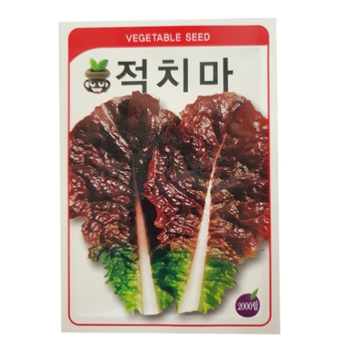 적상추 씨앗