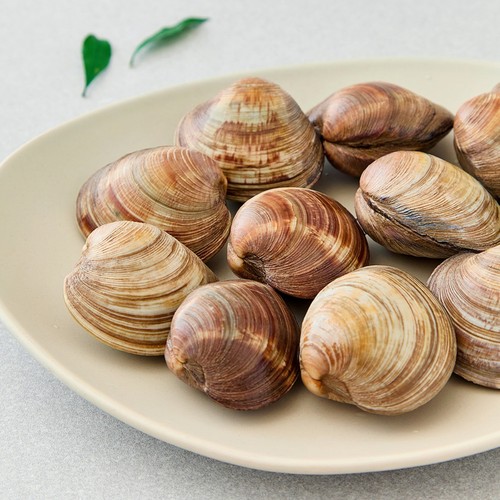 백합 (500G)