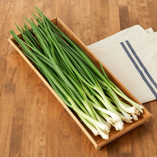 깐쪽파 (500G/봉)