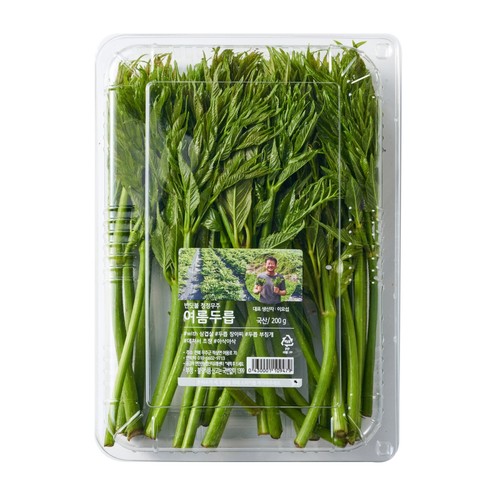 여름 두릅 (팩)