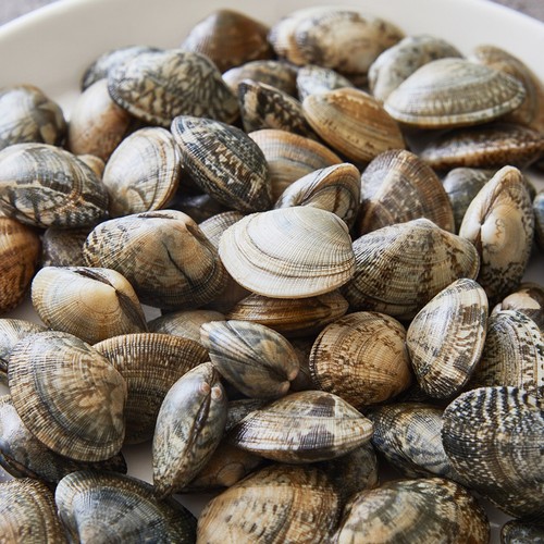 한가득 바지락 (1KG)