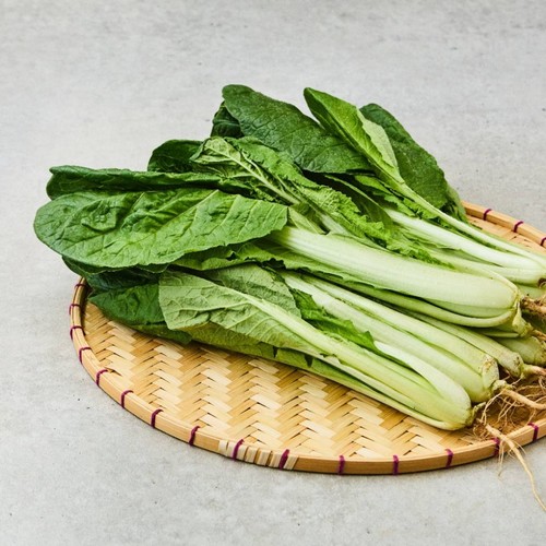 [농할할인가 3,832원] 로컬 얼갈이 (1.1KG/봉)