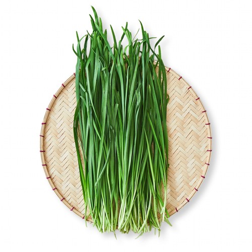 부추 (400G/단)