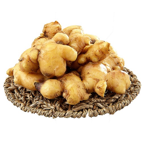 흙생강 (400G/봉)