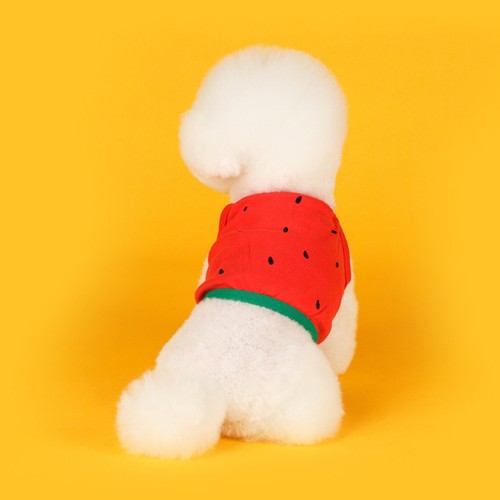 RED/L 플로트 후르츠 크롭나시 (수박)