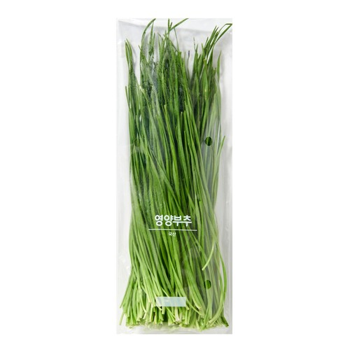 영양 부추 (100G/봉)