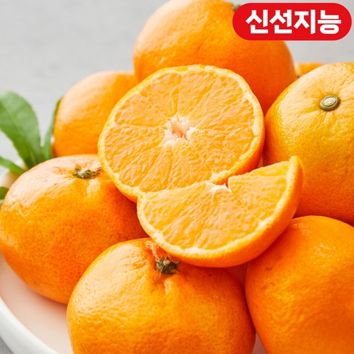 제주 불로초 감귤 (800G/팩)