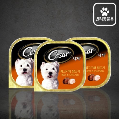 시저 쇠고기&닭고기 3팩 (100G*3팩)
