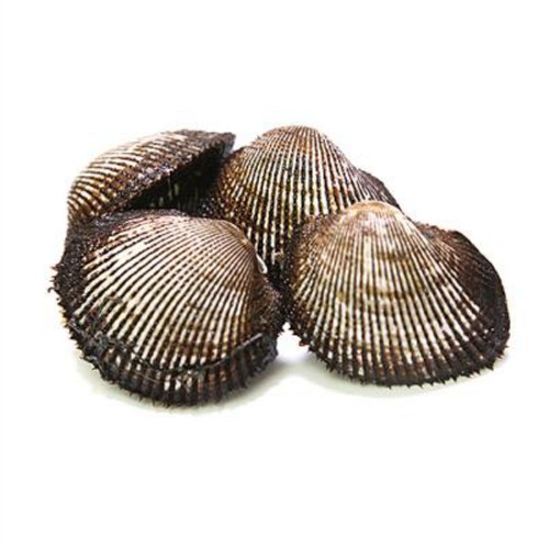 새꼬막 (300G)