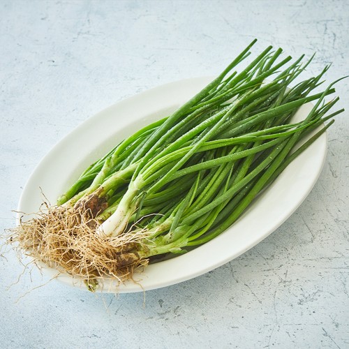 흙쪽파 (300G/봉)