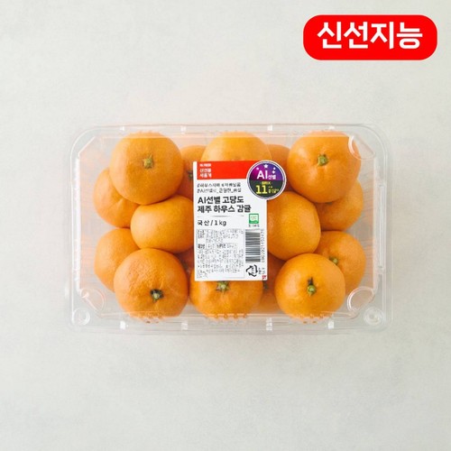 [농할할인가 9,960원] AI선별 고당도 제주 하우스 감귤 (1KG/팩)