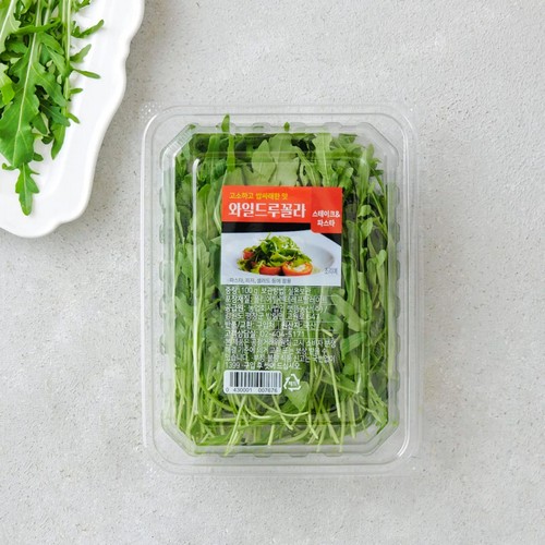 와일드 루꼴라 (100G/팩)
