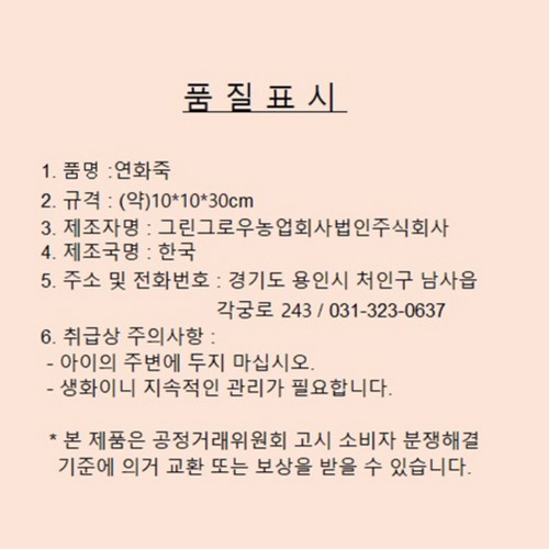 연화죽