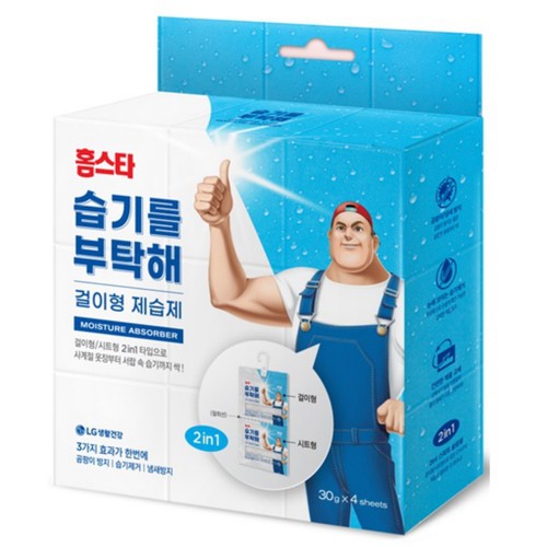  홈스타 습기를부탁해 (2in1) (30G*4개)