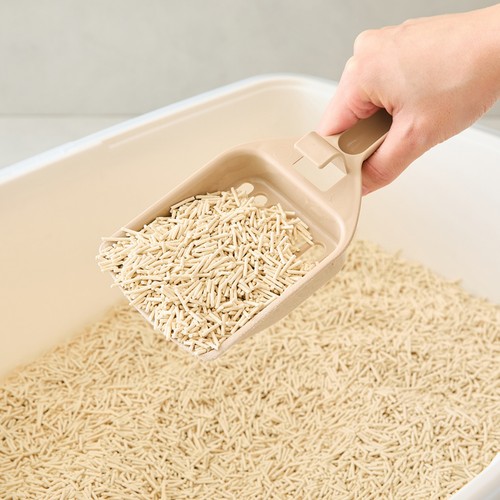 콜리올리 가는 두부모래 (오리지널) (3KG(7L))