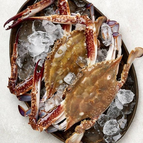 [행사카드 결제시 29,723원] 꿀잠 꽃게 (3000G)