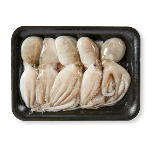  생물 주꾸미 (300G)